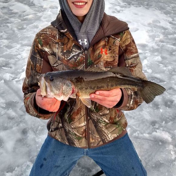 Meet your Posher, Aaron - Picture 1 of 1